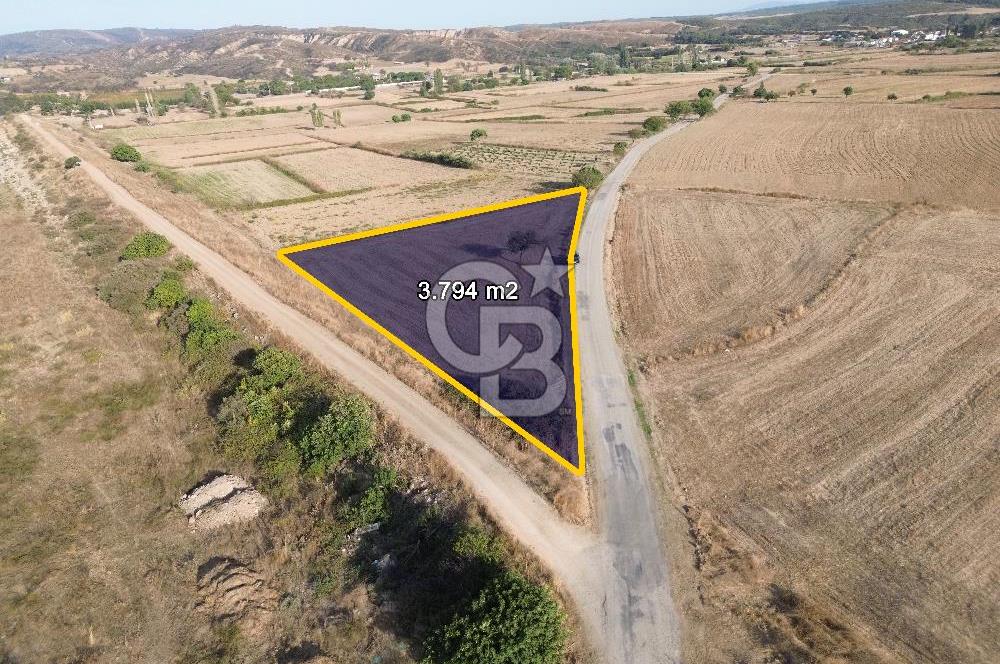 ÇANAKKALE ECEABAT KUMKÖYDE YOLA ÇİFT CEPHELİ 3.794M2 TARLA
