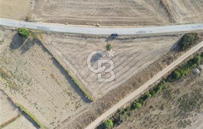ÇANAKKALE ECEABAT KUMKÖYDE YOLA ÇİFT CEPHELİ 3.794M2 TARLA