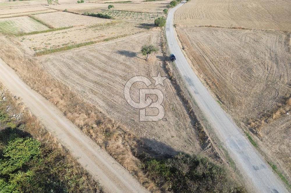 ÇANAKKALE ECEABAT KUMKÖYDE YOLA ÇİFT CEPHELİ 3.794M2 TARLA