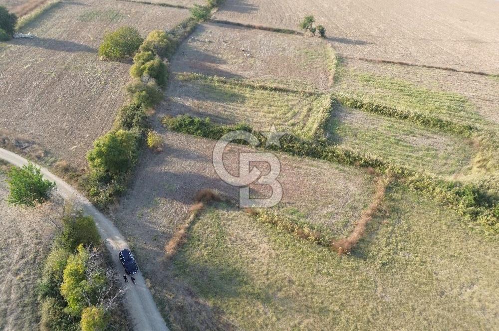 ÇANAKKALE ECEABAT KUMKÖYDE 4 DÖNÜM SATILIK TARLA