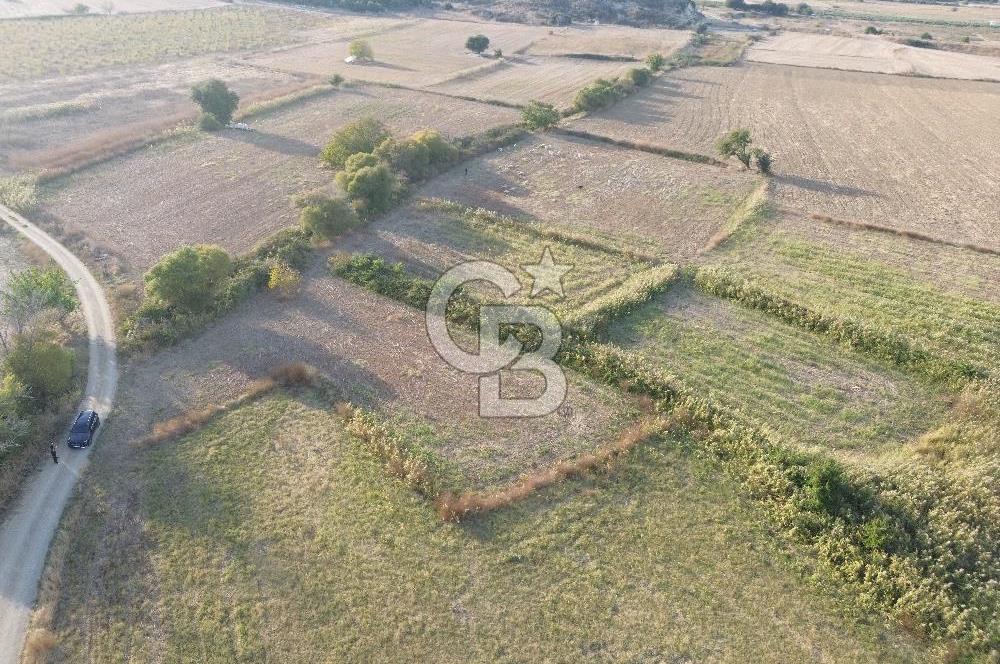 ÇANAKKALE ECEABAT KUMKÖYDE 4 DÖNÜM SATILIK TARLA