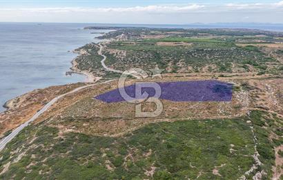 ÇANAKKALE BOZCAADA AYANA KOYUNA YAKIN SATILIK ARSA 