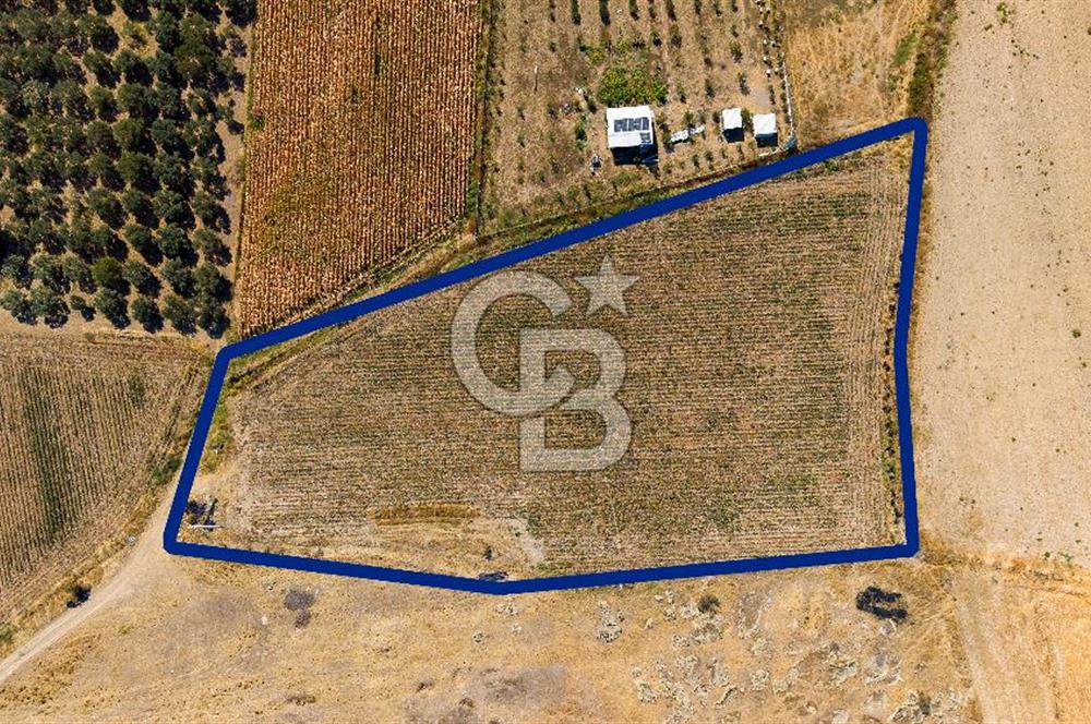 FOÇA GERENKÖYDE 6.630 m² SATILIK TARLA