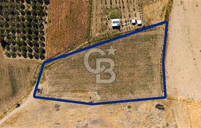FOÇA GERENKÖYDE 6.630 m² SATILIK TARLA
