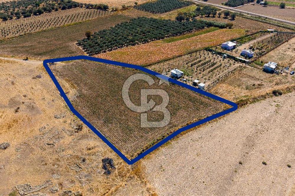 FOÇA GERENKÖYDE 6.630 m² SATILIK TARLA