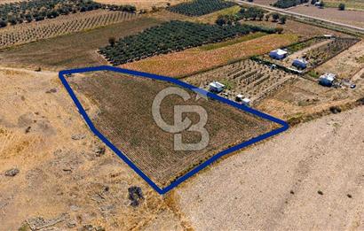 FOÇA GERENKÖYDE 6.630 m² SATILIK TARLA