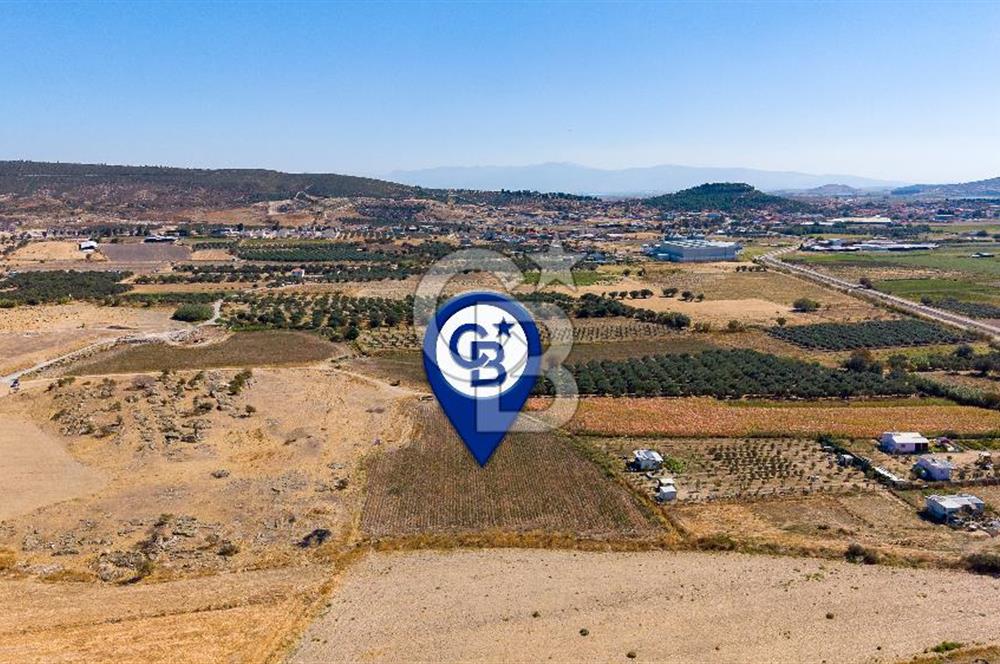 FOÇA GERENKÖYDE 6.630 m² SATILIK TARLA