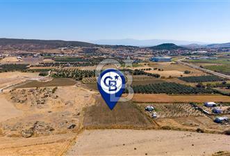 FOÇA GERENKÖYDE 6.630 m² SATILIK TARLA - 8 - 377581