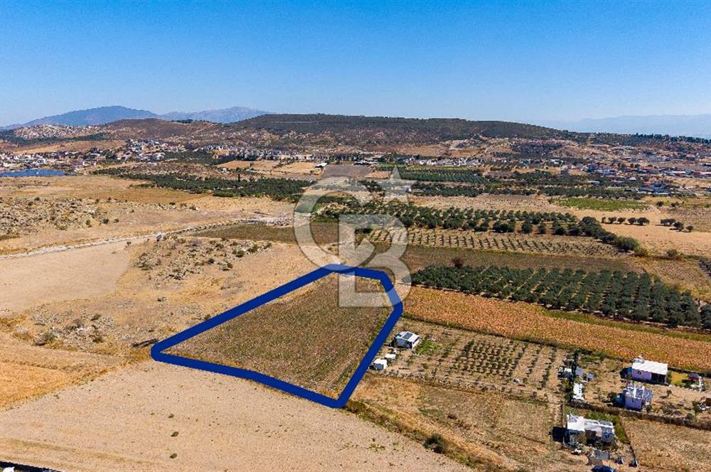 FOÇA GERENKÖYDE 6.630 m² SATILIK TARLA