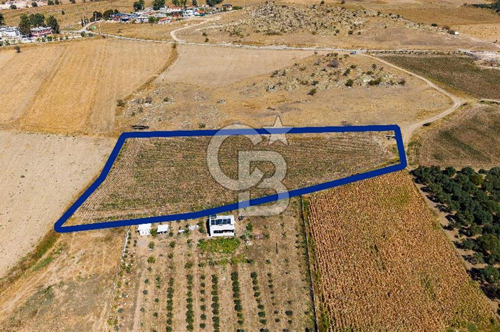 FOÇA GERENKÖYDE 6.630 m² SATILIK TARLA