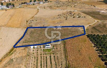 FOÇA GERENKÖYDE 6.630 m² SATILIK TARLA