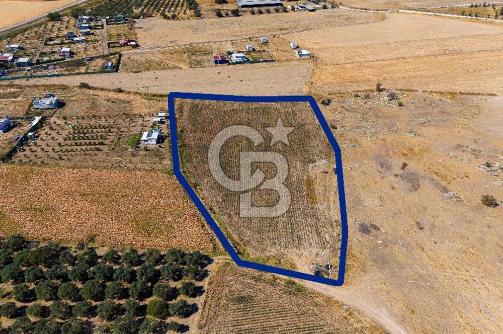 FOÇA GERENKÖYDE 6.630 m² SATILIK TARLA