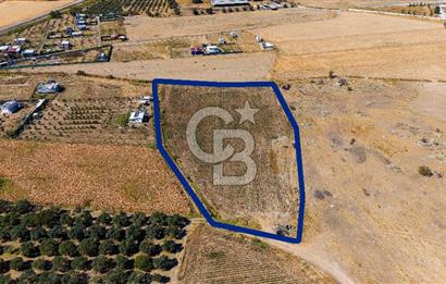 FOÇA GERENKÖYDE 6.630 m² SATILIK TARLA