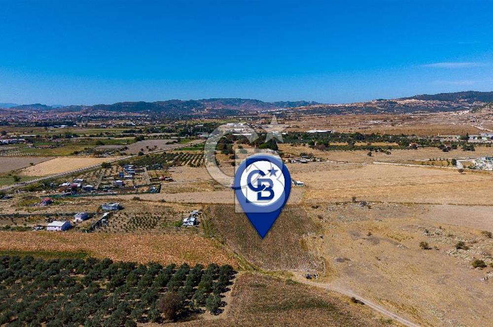 FOÇA GERENKÖYDE 6.630 m² SATILIK TARLA