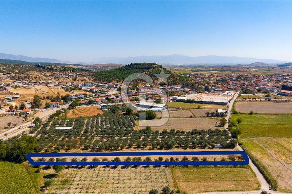 FOÇA GERENKÖY'DE MÜSTAKİL TAPULU SATILIK 1997 M² TARLA