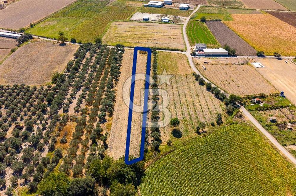 FOÇA GERENKÖY'DE MÜSTAKİL TAPULU SATILIK 1997 M² TARLA
