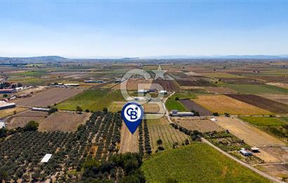 FOÇA GERENKÖY'DE MÜSTAKİL TAPULU SATILIK 1997 M² TARLA