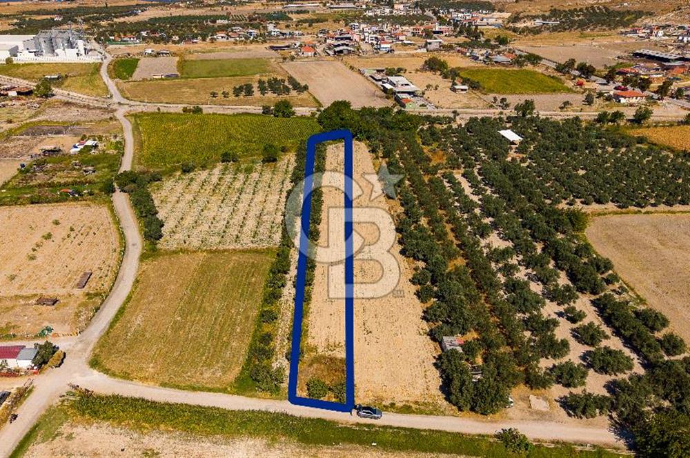 FOÇA GERENKÖY'DE MÜSTAKİL TAPULU SATILIK 1997 M² TARLA