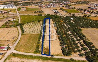 FOÇA GERENKÖY'DE MÜSTAKİL TAPULU SATILIK 1997 M² TARLA