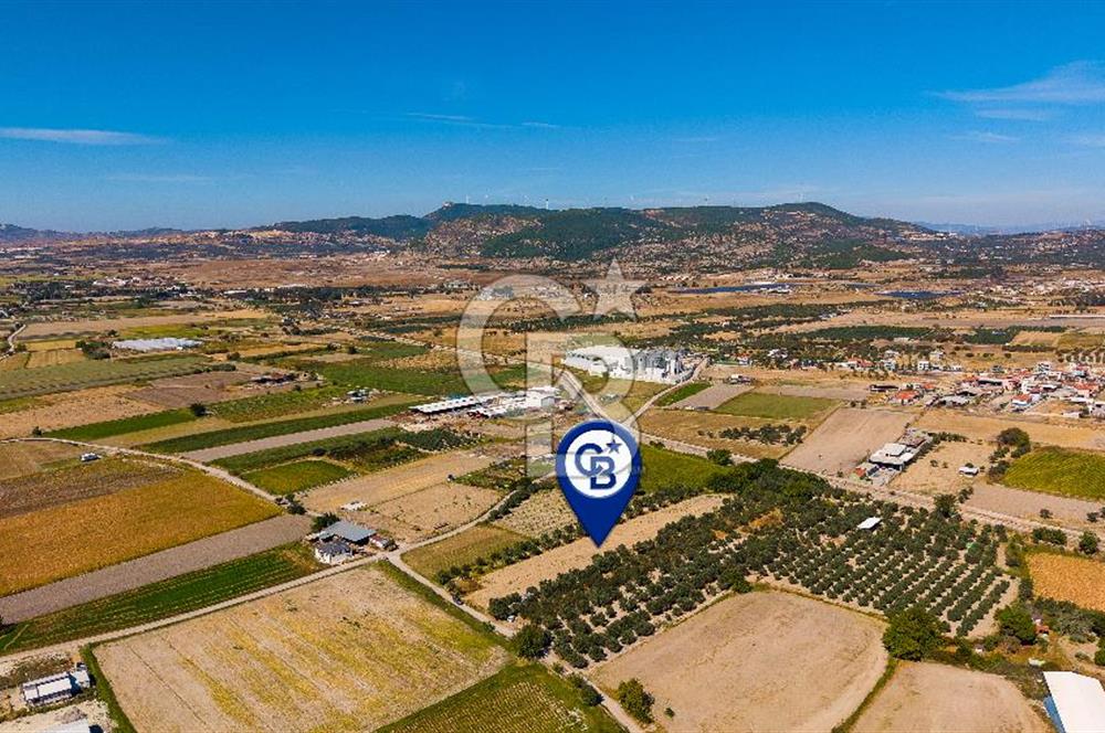 FOÇA GERENKÖY'DE MÜSTAKİL TAPULU SATILIK 1997 M² TARLA