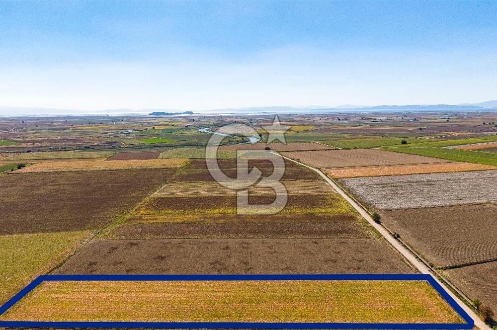 FOÇA GERENKÖY'DE 9.066 M² VERİMLİ, SUYU MEVCUT SATILIK TARLA