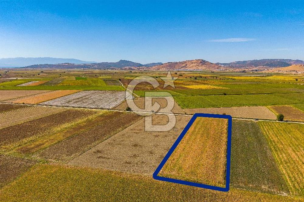 FOÇA GERENKÖY'DE 9.066 M² VERİMLİ, SUYU MEVCUT SATILIK TARLA