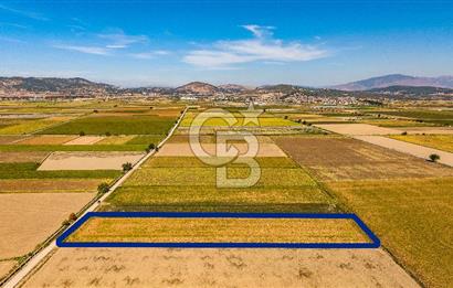 FOÇA GERENKÖY'DE 9.066 M² VERİMLİ, SUYU MEVCUT SATILIK TARLA