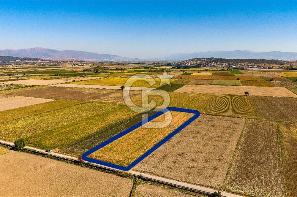 FOÇA GERENKÖY'DE 9.066 M² VERİMLİ, SUYU MEVCUT SATILIK TARLA