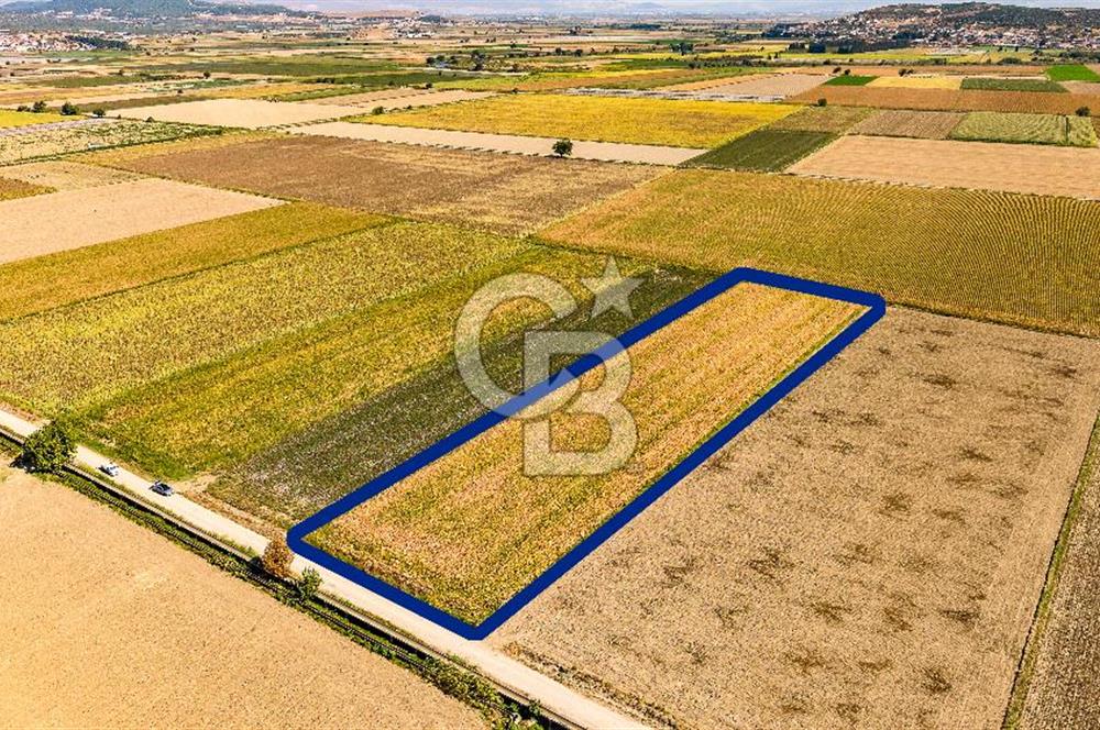 FOÇA GERENKÖY'DE 9.066 M² VERİMLİ, SUYU MEVCUT SATILIK TARLA