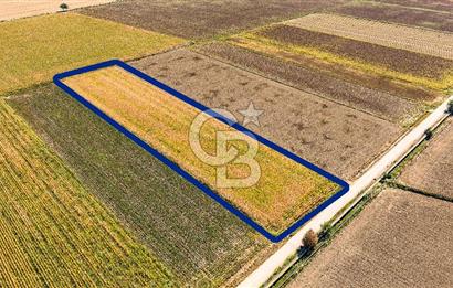 FOÇA GERENKÖY'DE 9.066 M² VERİMLİ, SUYU MEVCUT SATILIK TARLA