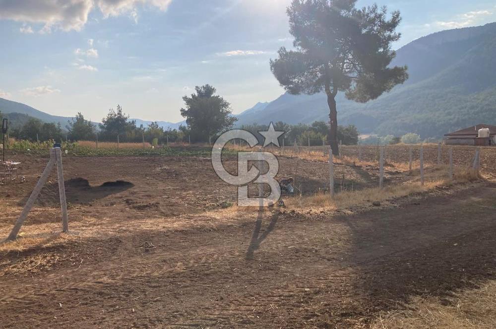 Geyve'de Satılık Tarla