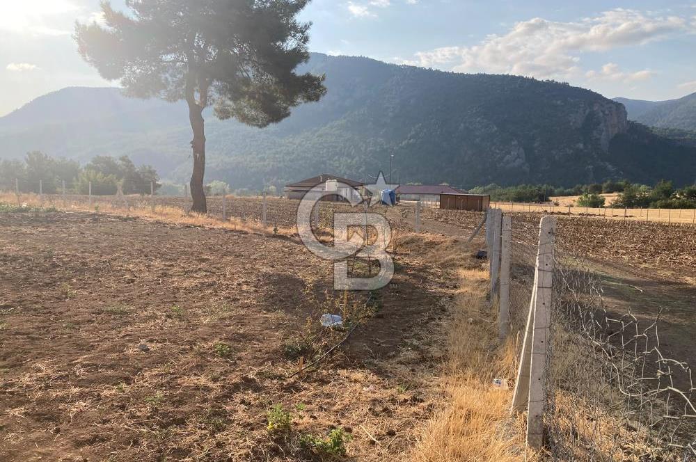 Geyve'de Satılık Tarla