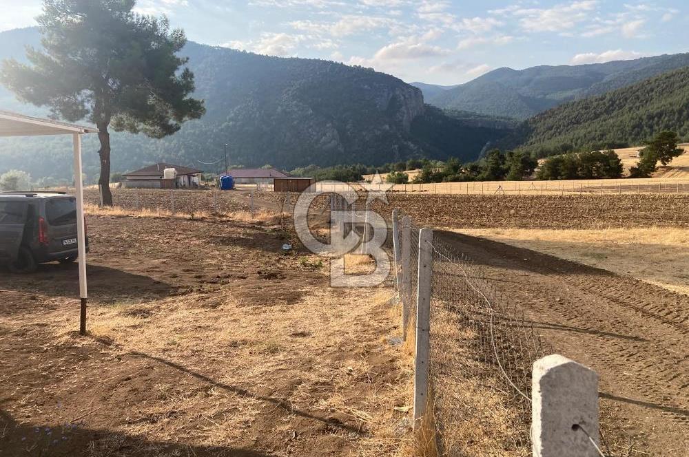 Geyve'de Satılık Tarla