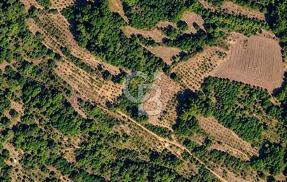 KOCAELİ KANDIRA KUZBUZCUDA 1.153 m² YERLEŞİME YAKIN TARLA
