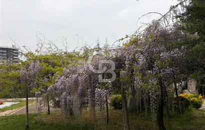 GÜLBARAN REZİDANS-KONFORLU VE DOĞANIN HUZURUNDA BİR YAŞAM 4+1