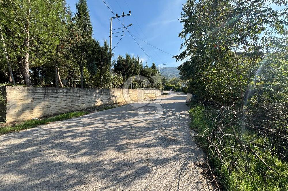 ŞİRİNSULHİYE MERKEZE YAKIN YOLA CEPHELİ BÜTÜNLEŞİK PARSELLİ ARSA