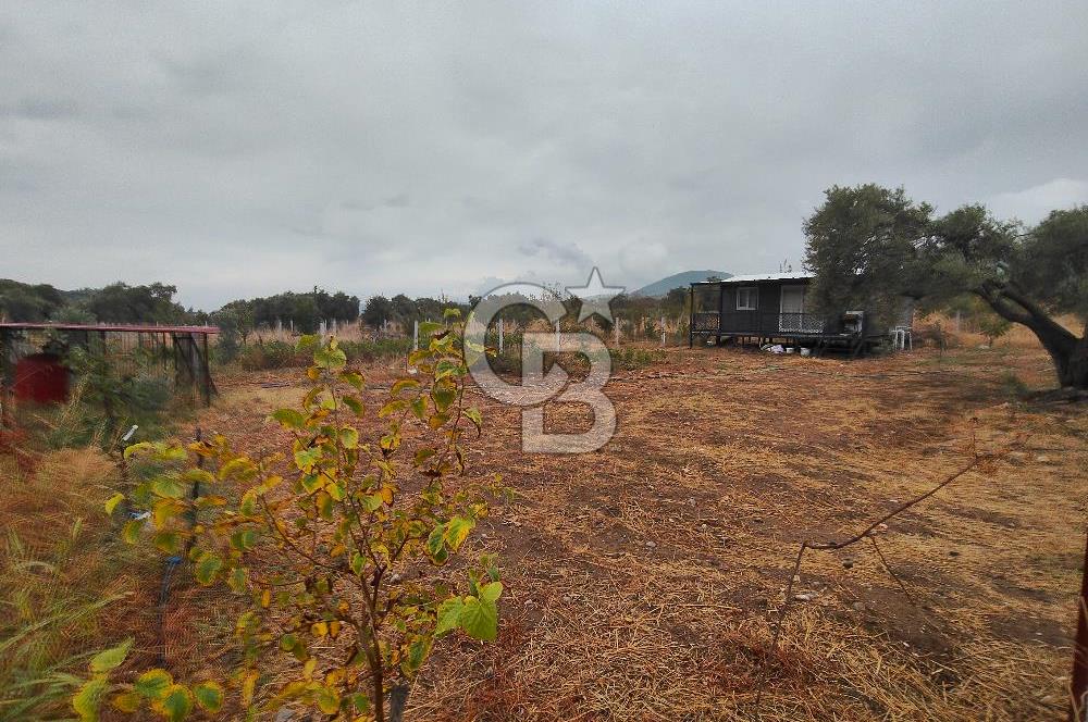 KEMALPAŞA GÖKYAKA'DA BÖLGENİN EN UYGUN FİYATLI FIRSAT ARAZİSİ