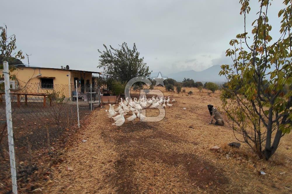 KEMALPAŞA GÖKYAKA'DA BÖLGENİN EN UYGUN FİYATLI FIRSAT ARAZİSİ