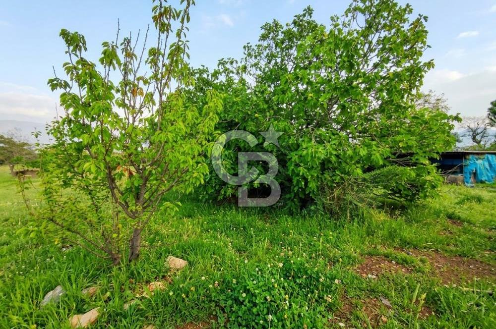 KEMALPAŞA GÖKYAKA'DA BÖLGENİN EN UYGUN FİYATLI FIRSAT ARAZİSİ