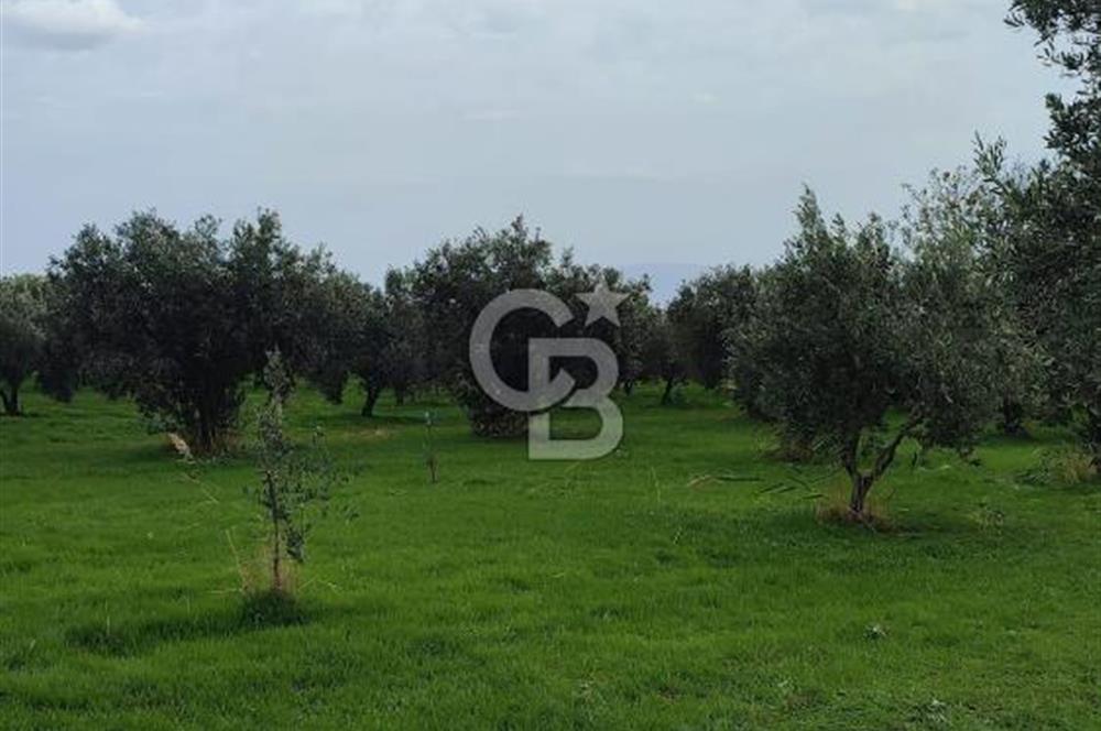 Tekirdağ Şarköy Güzelköy'de Deniz Manzaralı Satılık Arsa