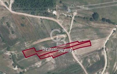 KOCAELİ İZMİT YOLA CEPHELİ İMARA YAKIN TARLA