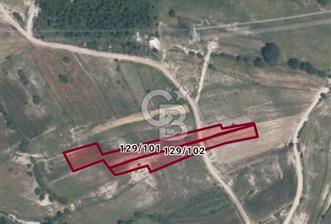 İZMİT - BULDUK'TA 2145M2 İMARA ÇOK YAKIN - 2 - 377639
