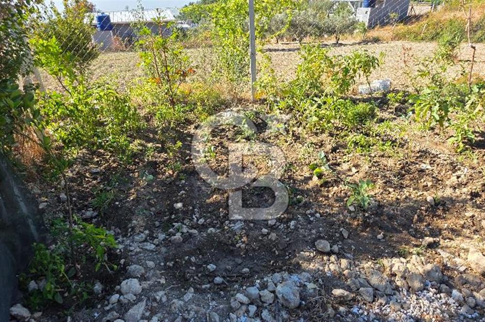 Bornova Yakaköy Cevizliyayla Mevkii 310 m2 Arazi