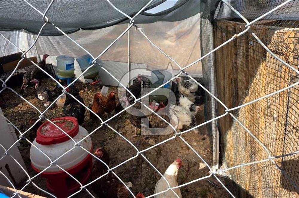 Bornova Yakaköy Cevizliyayla Mevkii 310 m2 Arazi