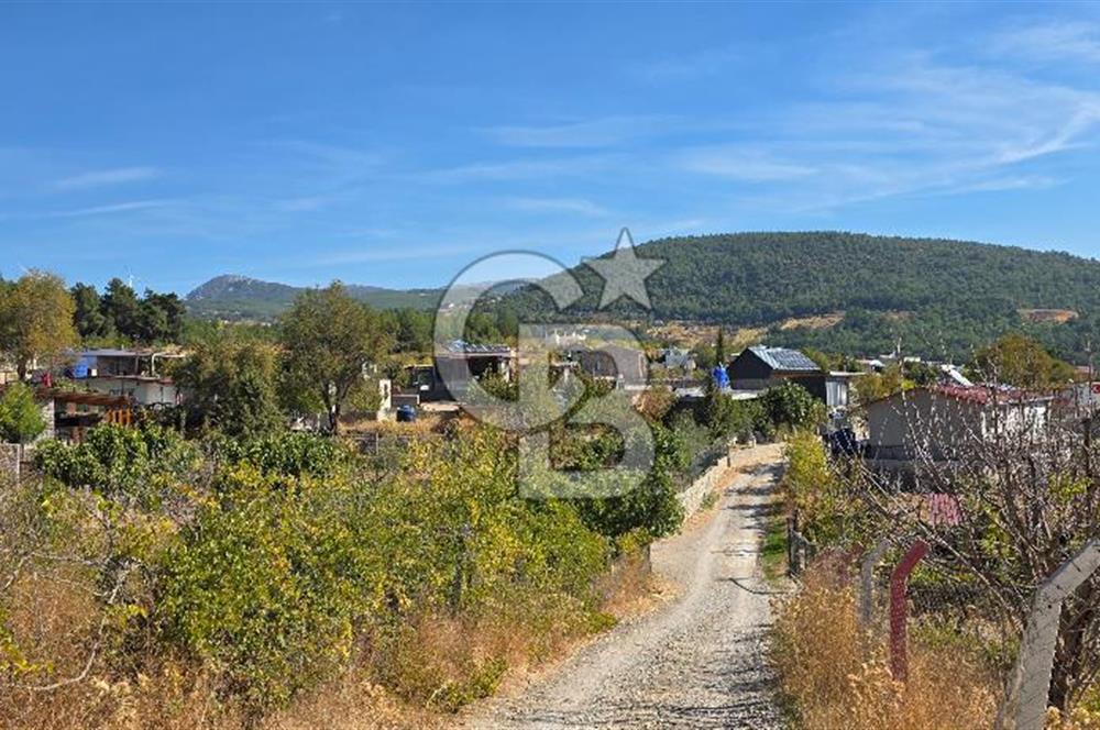 Bornova Yakaköy Cevizliyayla Mevkii 310 m2 Arazi