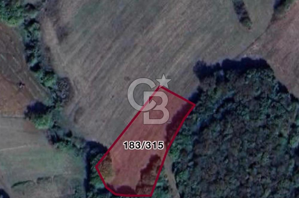 İZMİT ŞAHİNLER'DE 2.244 m² SATILIK TARLA