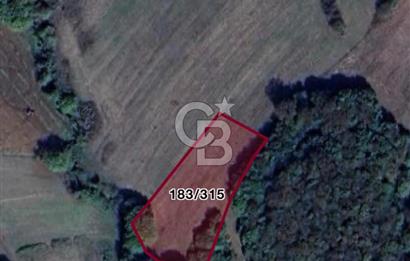 İZMİT ŞAHİNLER'DE 2.244 m² SATILIK TARLA