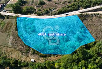 KANDIRA PİRCELER'DE KÖYE YAKIN, 4661 M2 %5 İMARLI FIRSAT ARSA - 1 - 377754