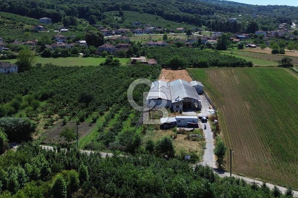 SERDİVAN UZUNKÖYDE 3640M2 TAM DONANIMLI BÜYÜKBAŞ HAYVAN ÇİFTLİĞİ