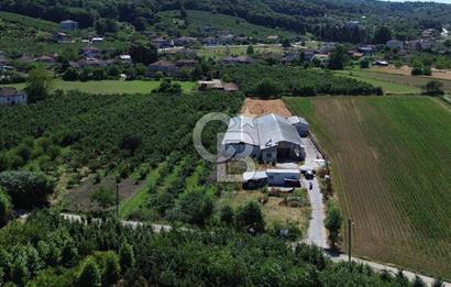 SERDİVAN UZUNKÖYDE 3640M2 TAM DONANIMLI BÜYÜKBAŞ HAYVAN ÇİFTLİĞİ